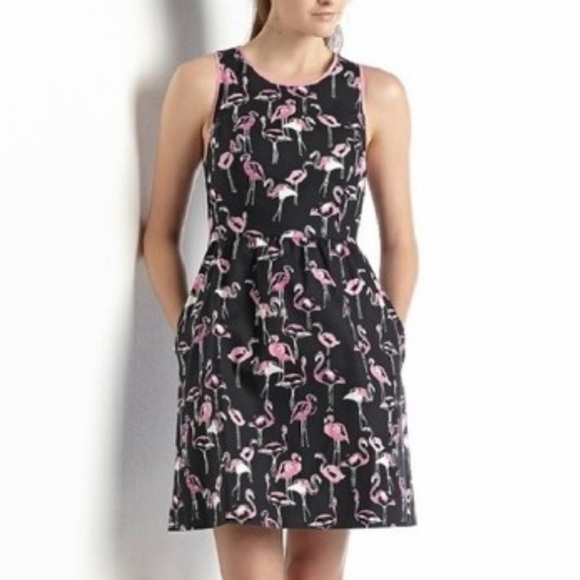 Crown & Ivy Flamingo Print Fit & Flare Dress 8P - Picture 1 of 15